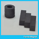 Custom Arc Ring Cylinder Disc Shaped Permanent Rare Earth Ferrite Magnet